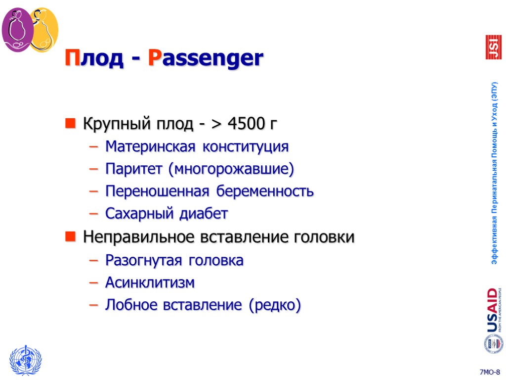 Плод - Passenger Крупный плод - > 4500 г Материнская конституция Паритет (многорожавшие) Переношенная